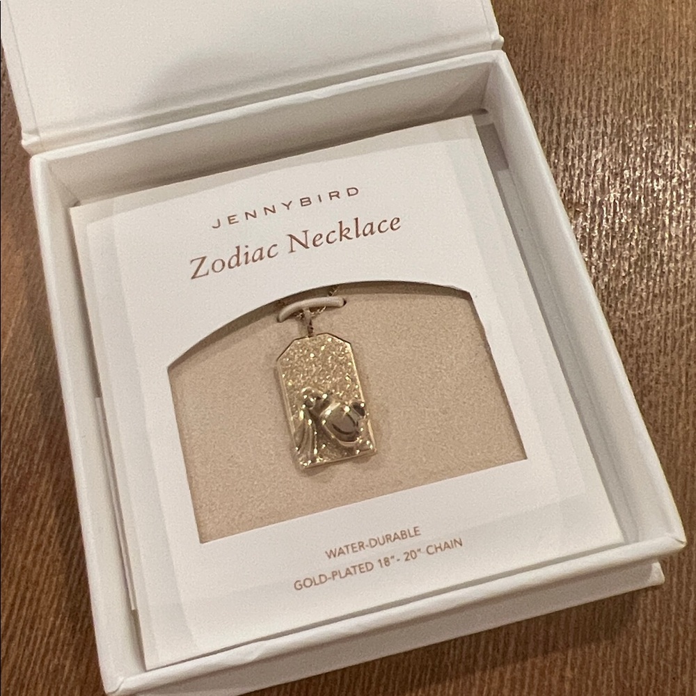 Jenny Bird Aquarius Zodiac Pendant Necklace - NIB